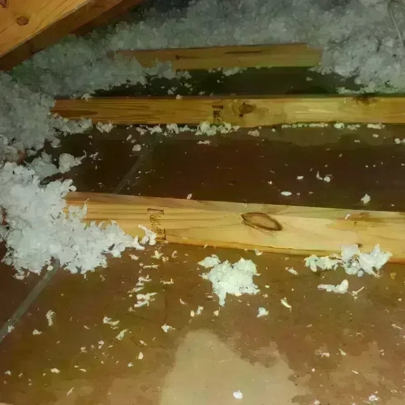 Attic Water Damage in Eastman, GA