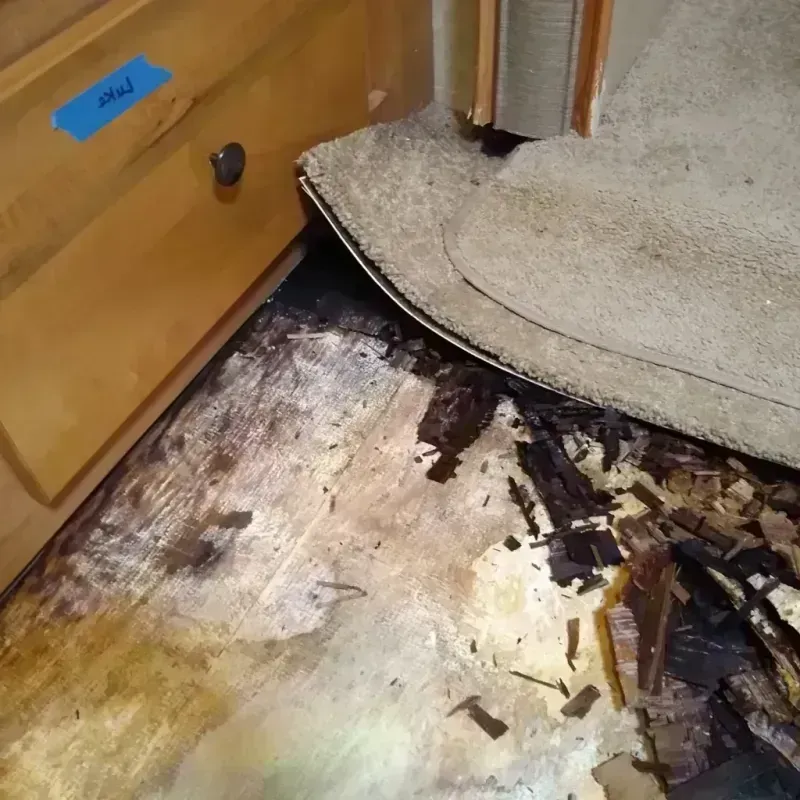 Wood Floor Water Damage in Eastman, GA